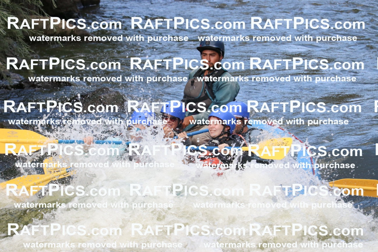 000493_July-9_New-Wave_RAFT-Pics_Racecourse-PM_BS_Rui