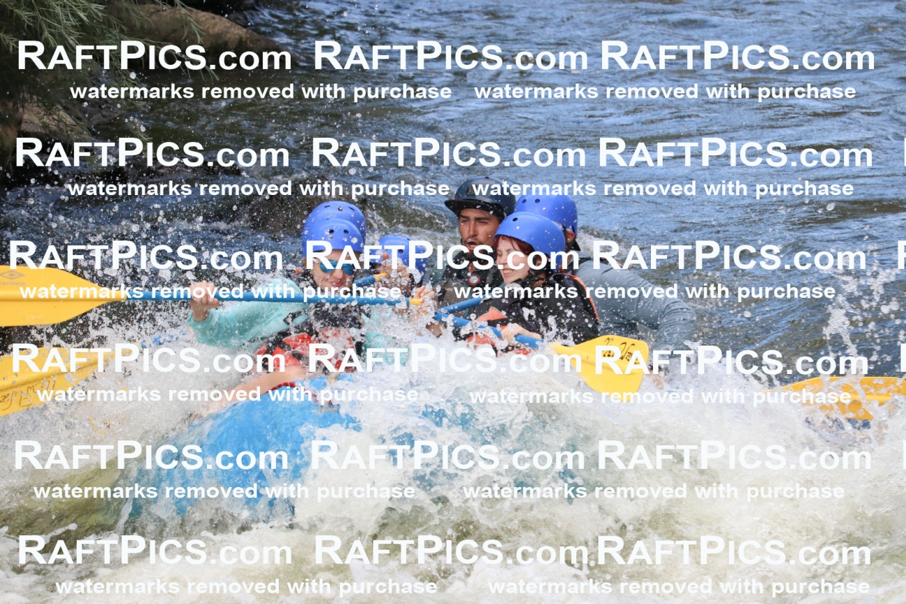 000494_July-9_New-Wave_RAFT-Pics_Racecourse-PM_BS_Rui