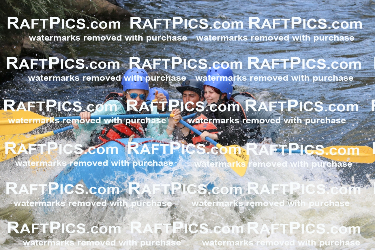 000495_July-9_New-Wave_RAFT-Pics_Racecourse-PM_BS_Rui