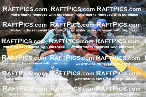 000498_July-9_New-Wave_RAFT-Pics_Racecourse-PM_BS_Rui