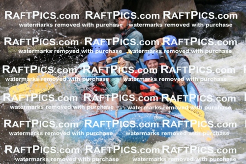 000499_July-9_New-Wave_RAFT-Pics_Racecourse-PM_BS_Rui