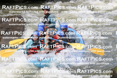 000502_July-9_New-Wave_RAFT-Pics_Racecourse-PM_BS_Rui