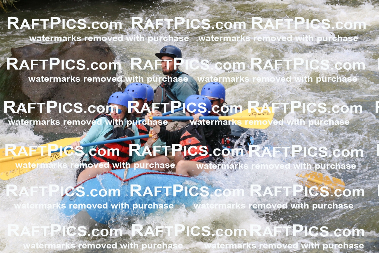 000503_July-9_New-Wave_RAFT-Pics_Racecourse-PM_BS_Rui