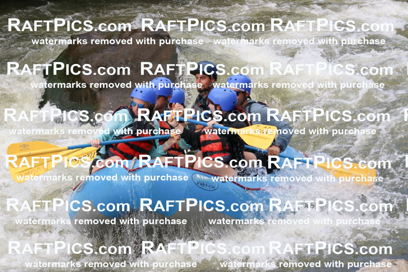 000504_July-9_New-Wave_RAFT-Pics_Racecourse-PM_BS_Rui