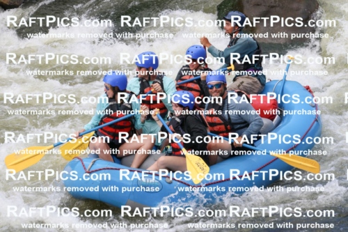 000506_July-9_New-Wave_RAFT-Pics_Racecourse-PM_BS_Rui