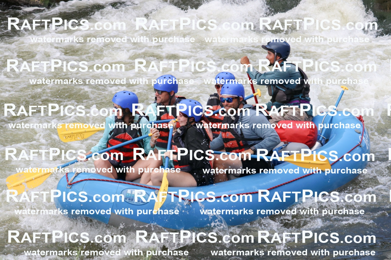 000507_July-9_New-Wave_RAFT-Pics_Racecourse-PM_BS_Rui