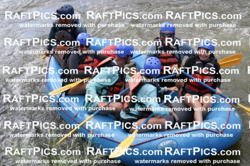 000509_July-9_New-Wave_RAFT-Pics_Racecourse-PM_BS_Rui