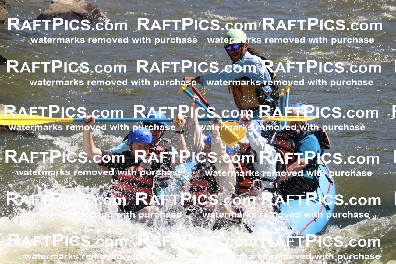 000542_July-10_New-Wave_RAFT-Pics_Racecourse-PM_BS_Orlando