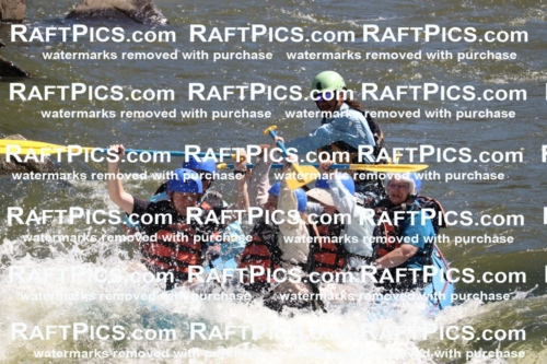 000543_July-10_New-Wave_RAFT-Pics_Racecourse-PM_BS_Orlando