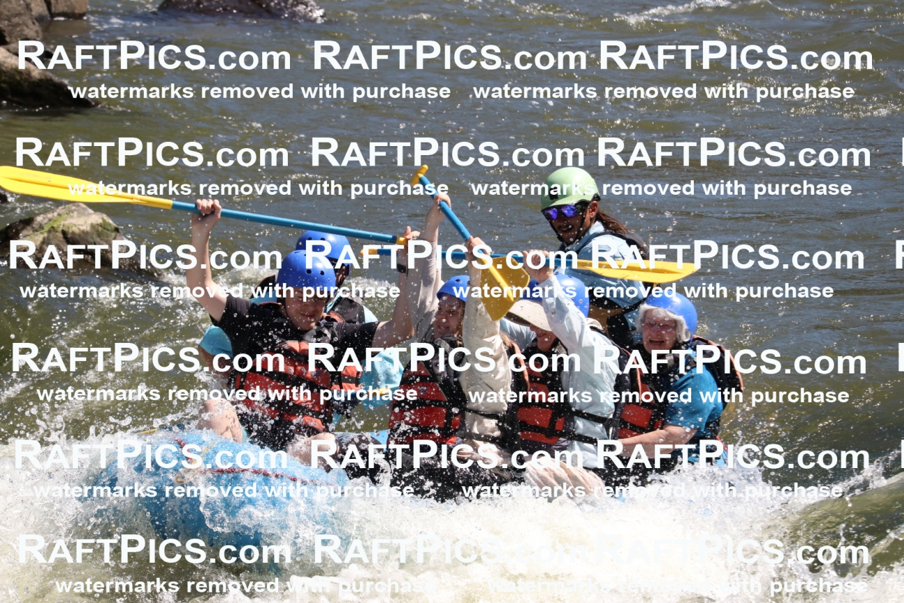 000544_July-10_New-Wave_RAFT-Pics_Racecourse-PM_BS_Orlando