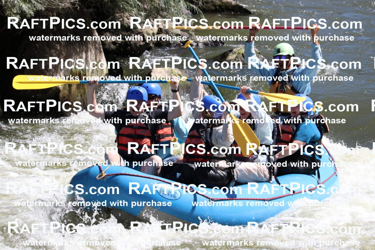 000548_July-10_New-Wave_RAFT-Pics_Racecourse-PM_BS_Orlando