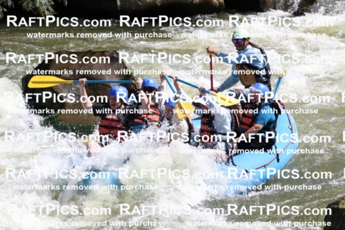 000554_July-10_New-Wave_RAFT-Pics_Racecourse-PM_BS_Orlando