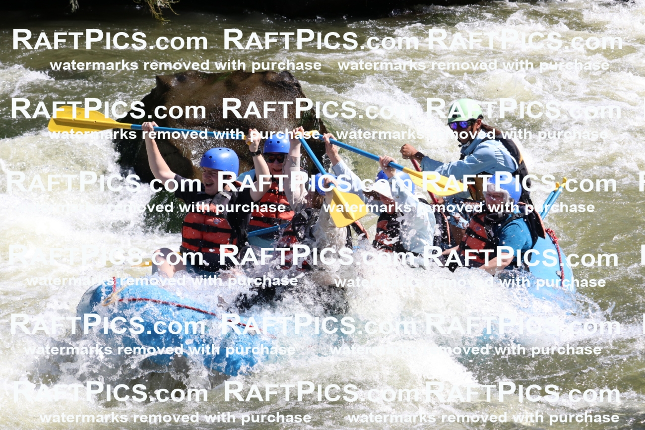 000556_July-10_New-Wave_RAFT-Pics_Racecourse-PM_BS_Orlando