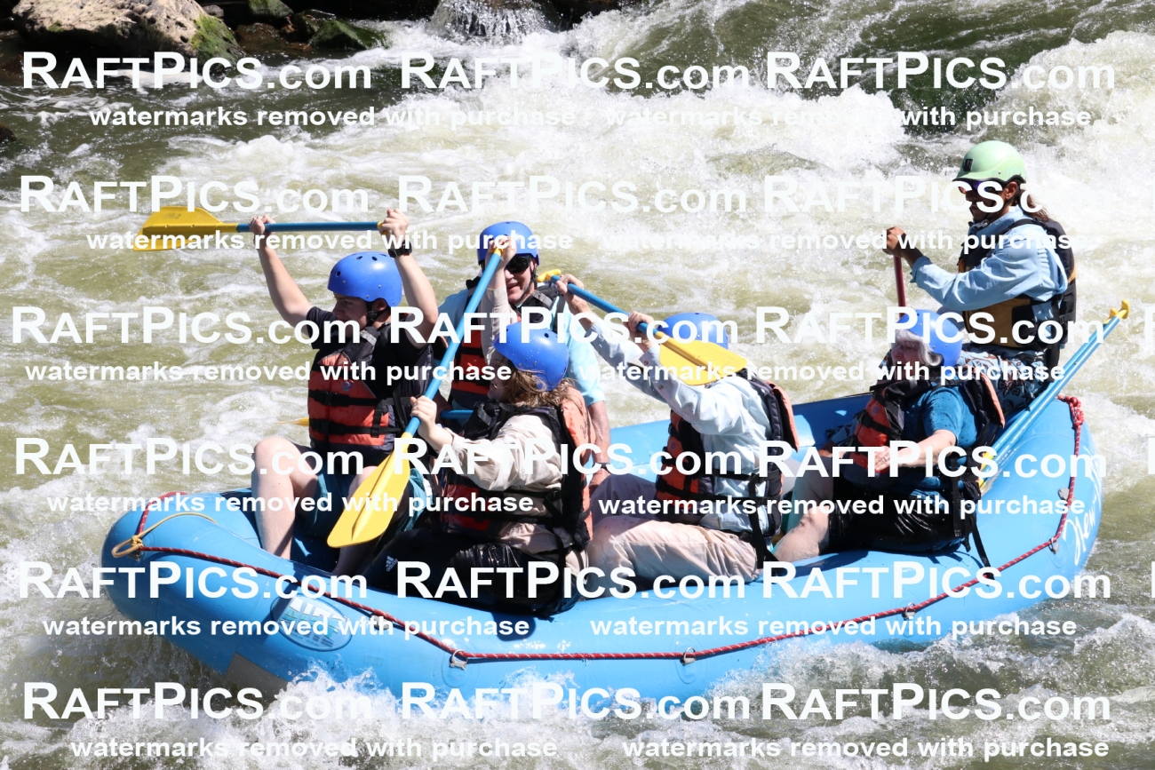 000560_July-10_New-Wave_RAFT-Pics_Racecourse-PM_BS_Orlando