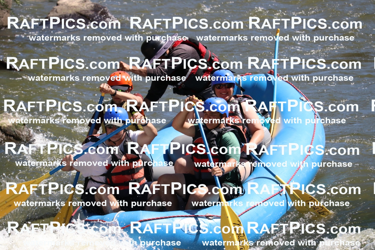 000511_July-10_New-Wave_RAFT-Pics_Racecourse-PM_BS_Elias