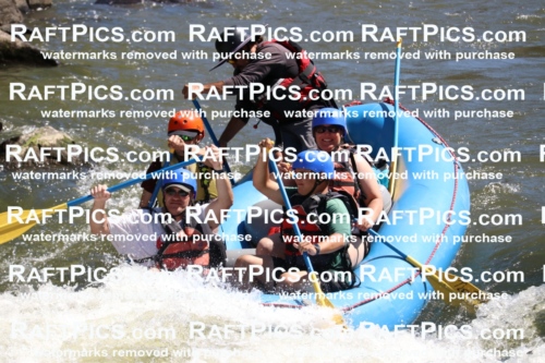 000512_July-10_New-Wave_RAFT-Pics_Racecourse-PM_BS_Elias