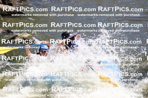 000514_July-10_New-Wave_RAFT-Pics_Racecourse-PM_BS_Elias