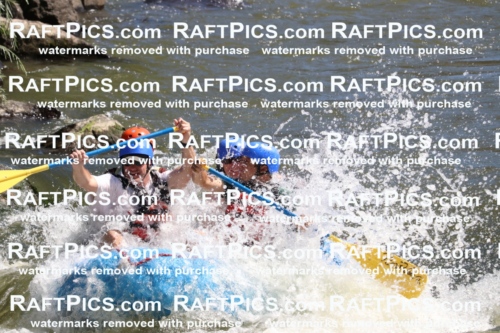 000515_July-10_New-Wave_RAFT-Pics_Racecourse-PM_BS_Elias