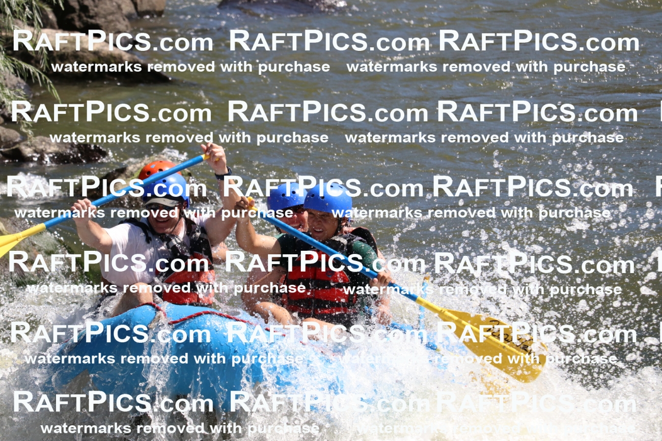 000516_July-10_New-Wave_RAFT-Pics_Racecourse-PM_BS_Elias