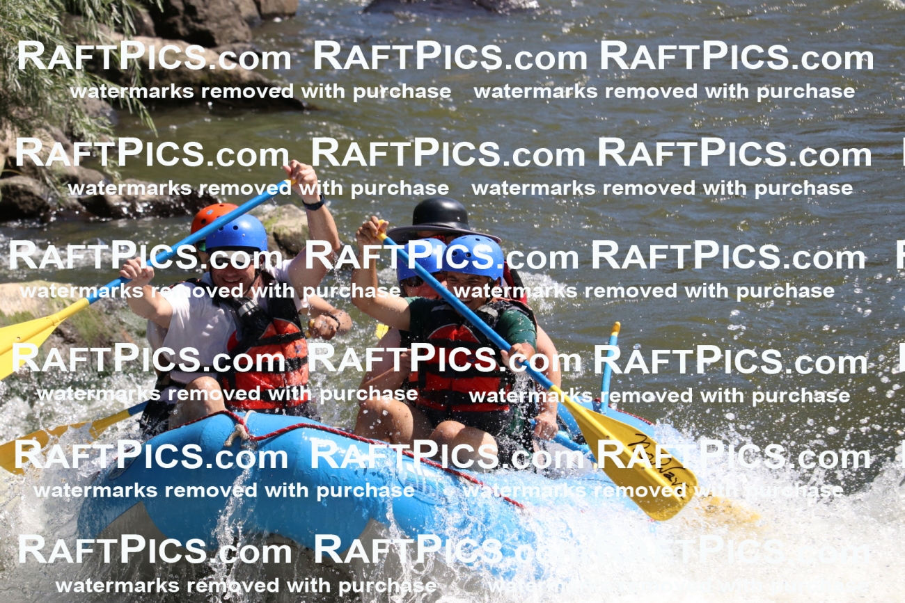 000517_July-10_New-Wave_RAFT-Pics_Racecourse-PM_BS_Elias