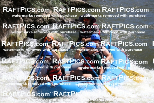 000518_July-10_New-Wave_RAFT-Pics_Racecourse-PM_BS_Elias