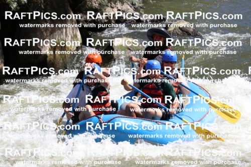 000519_July-10_New-Wave_RAFT-Pics_Racecourse-PM_BS_Elias