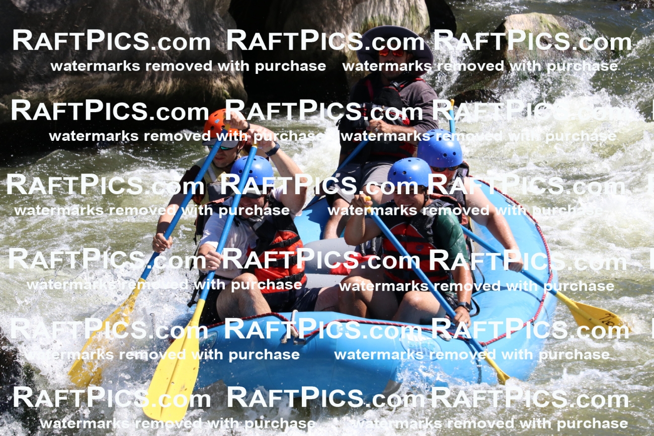 000521_July-10_New-Wave_RAFT-Pics_Racecourse-PM_BS_Elias