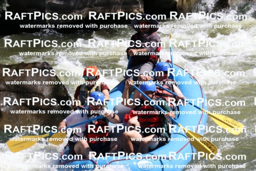 000522_July-10_New-Wave_RAFT-Pics_Racecourse-PM_BS_Elias