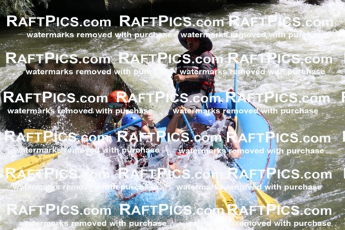 000524_July-10_New-Wave_RAFT-Pics_Racecourse-PM_BS_Elias