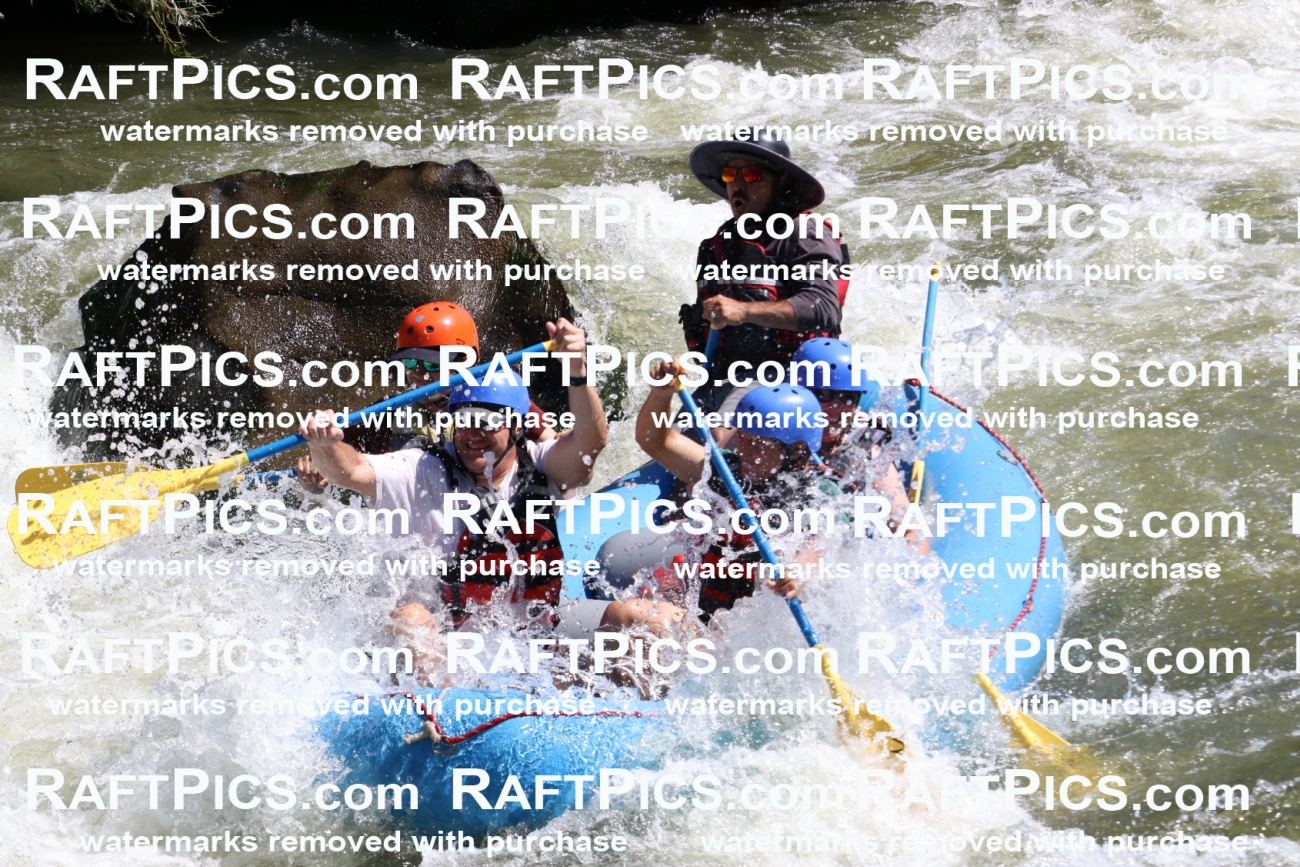 000525_July-10_New-Wave_RAFT-Pics_Racecourse-PM_BS_Elias