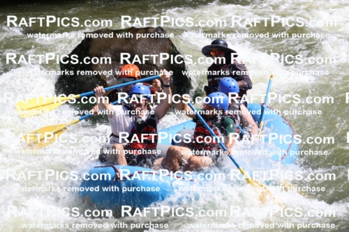 000526_July-10_New-Wave_RAFT-Pics_Racecourse-PM_BS_Elias