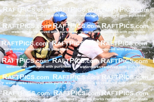 000532_July-10_New-Wave_RAFT-Pics_Racecourse-PM_BS_Elias