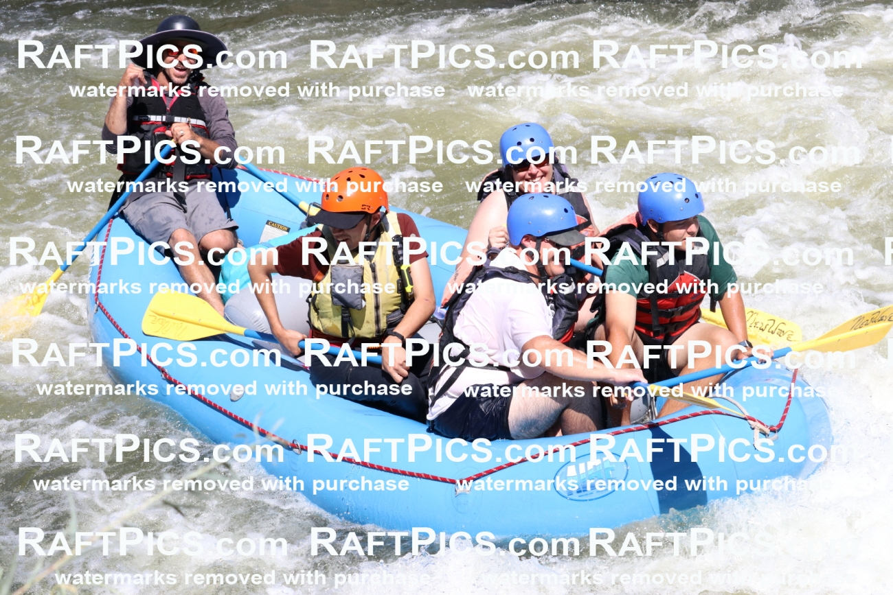 000534_July-10_New-Wave_RAFT-Pics_Racecourse-PM_BS_Elias