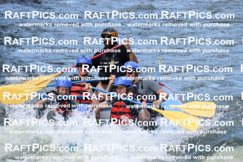 000639_July-10_New-Wave_RAFT-Pics_Racecourse-PM_BS_Dillon