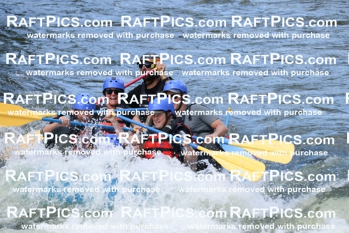 000640_July-10_New-Wave_RAFT-Pics_Racecourse-PM_BS_Dillon