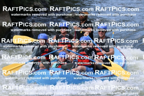 000644_July-10_New-Wave_RAFT-Pics_Racecourse-PM_BS_Dillon