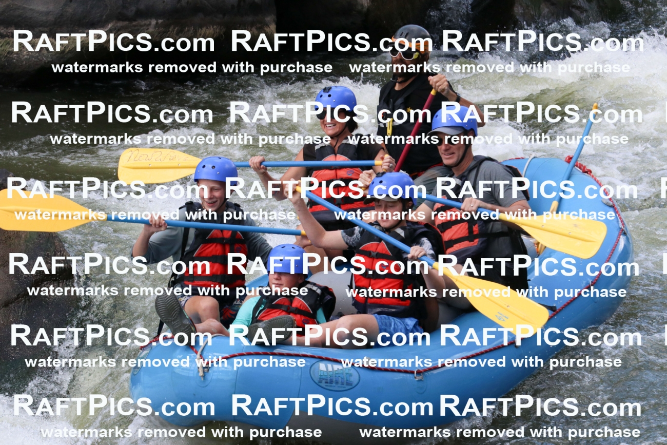 000646_July-10_New-Wave_RAFT-Pics_Racecourse-PM_BS_Dillon