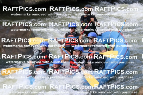 000648_July-10_New-Wave_RAFT-Pics_Racecourse-PM_BS_Dillon