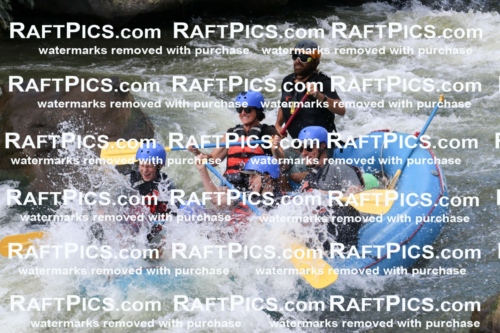 000649_July-10_New-Wave_RAFT-Pics_Racecourse-PM_BS_Dillon