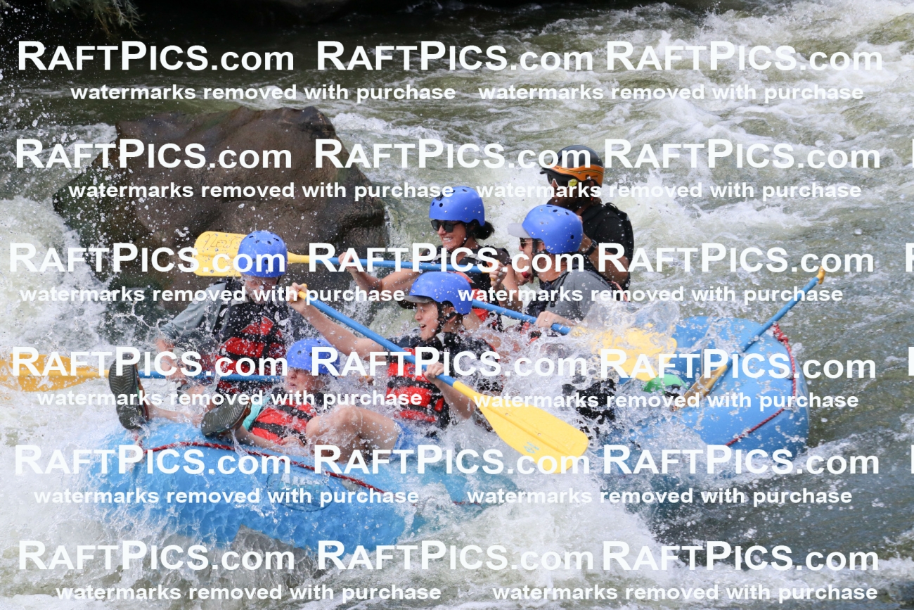 000651_July-10_New-Wave_RAFT-Pics_Racecourse-PM_BS_Dillon