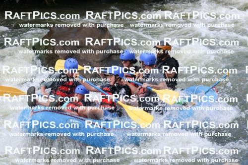 000652_July-10_New-Wave_RAFT-Pics_Racecourse-PM_BS_Dillon