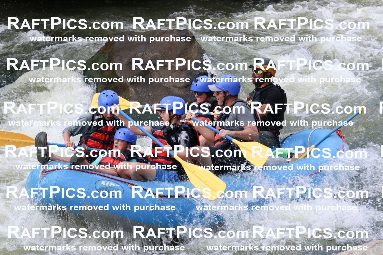 000653_July-10_New-Wave_RAFT-Pics_Racecourse-PM_BS_Dillon