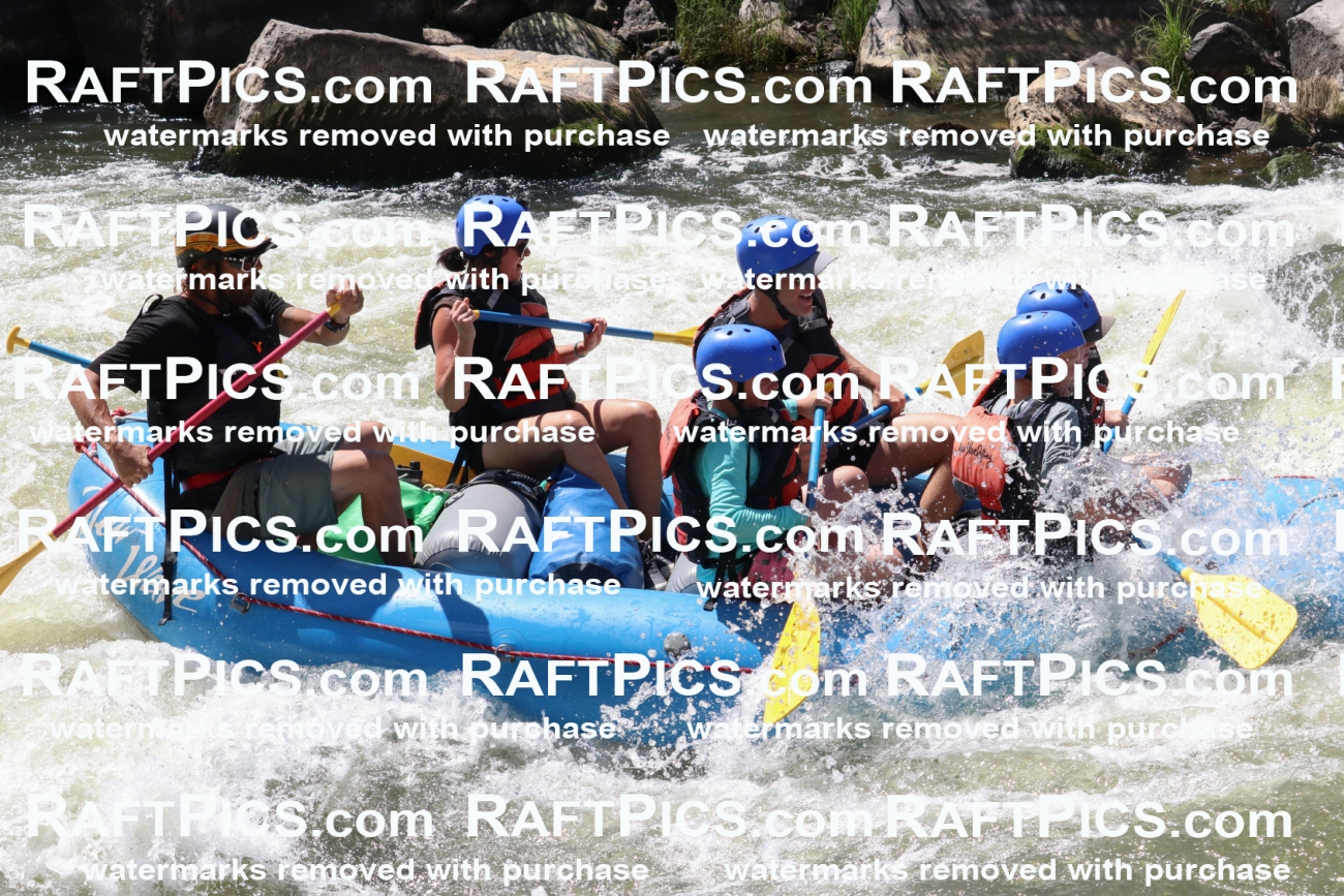 000655_July-10_New-Wave_RAFT-Pics_Racecourse-PM_BS_Dillon