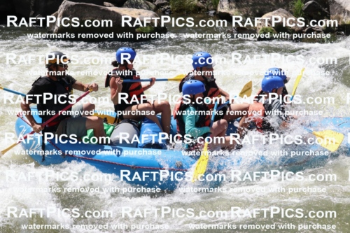 000656_July-10_New-Wave_RAFT-Pics_Racecourse-PM_BS_Dillon