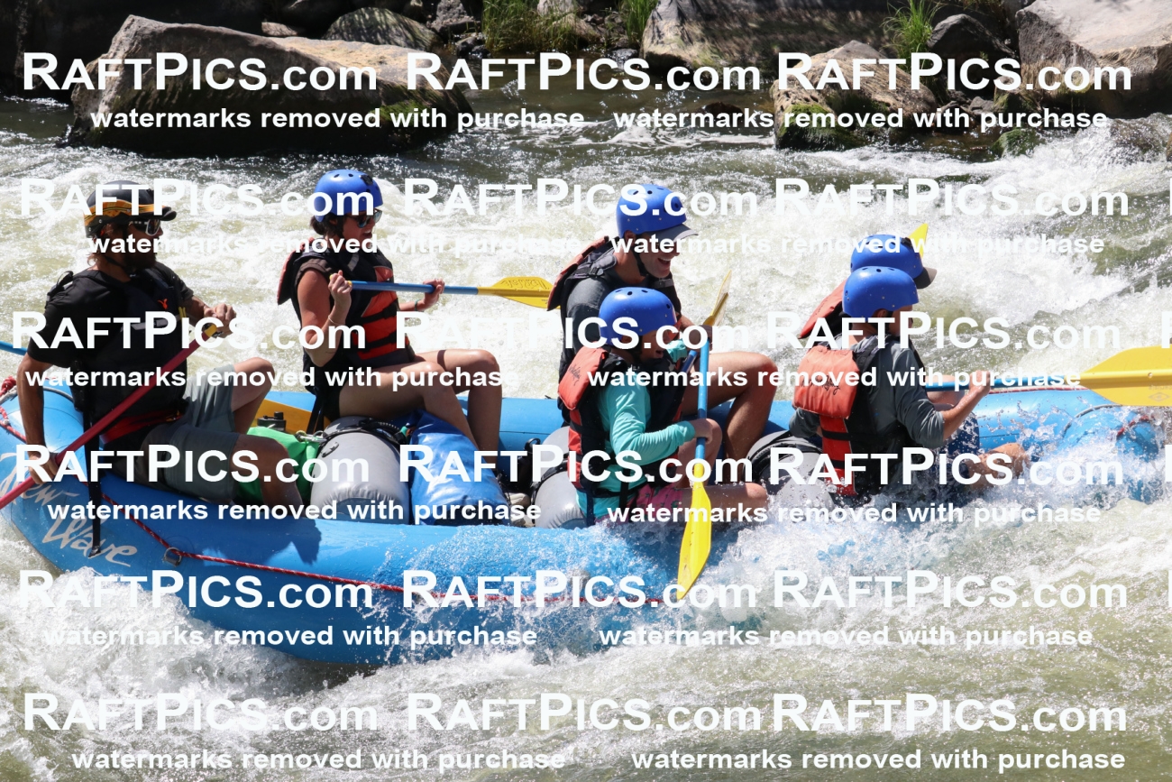 000658_July-10_New-Wave_RAFT-Pics_Racecourse-PM_BS_Dillon