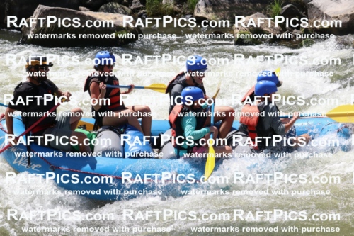 000658_July-10_New-Wave_RAFT-Pics_Racecourse-PM_BS_Dillon