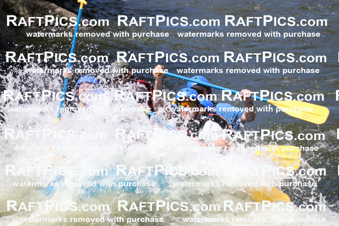 000664_July-10_New-Wave_RAFT-Pics_Racecourse-PM_BS_Elias