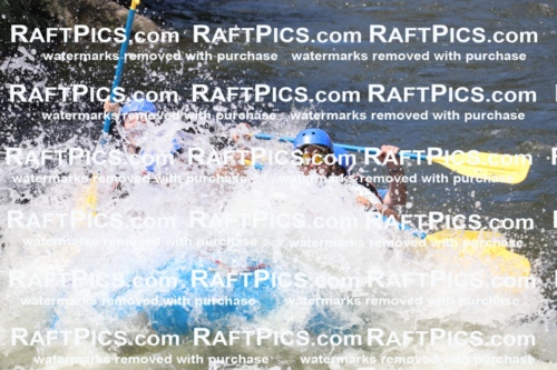 000665_July-10_New-Wave_RAFT-Pics_Racecourse-PM_BS_Elias