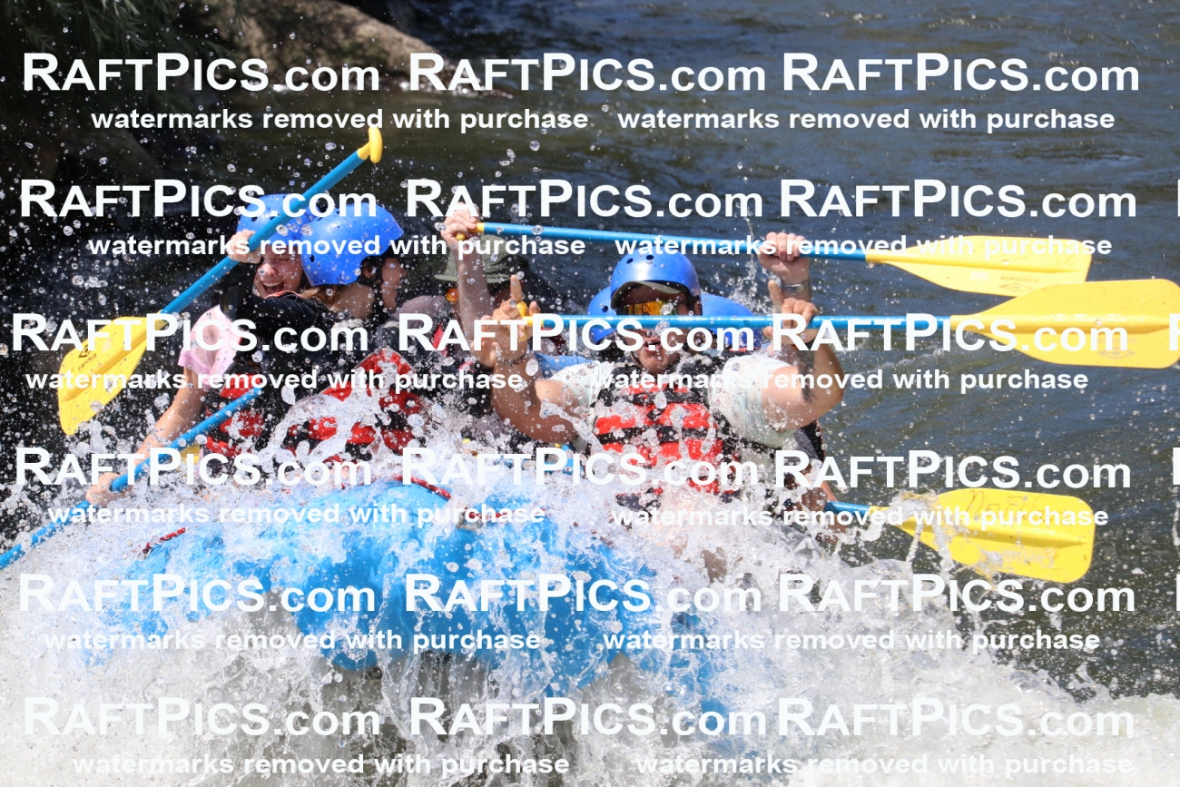 000667_July-10_New-Wave_RAFT-Pics_Racecourse-PM_BS_Elias