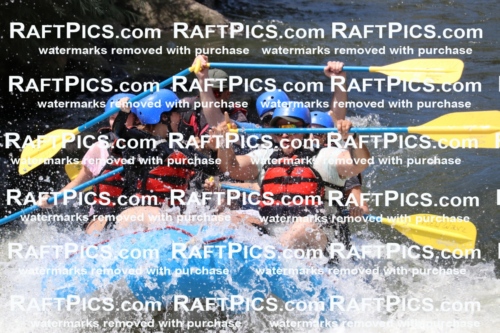 000668_July-10_New-Wave_RAFT-Pics_Racecourse-PM_BS_Elias